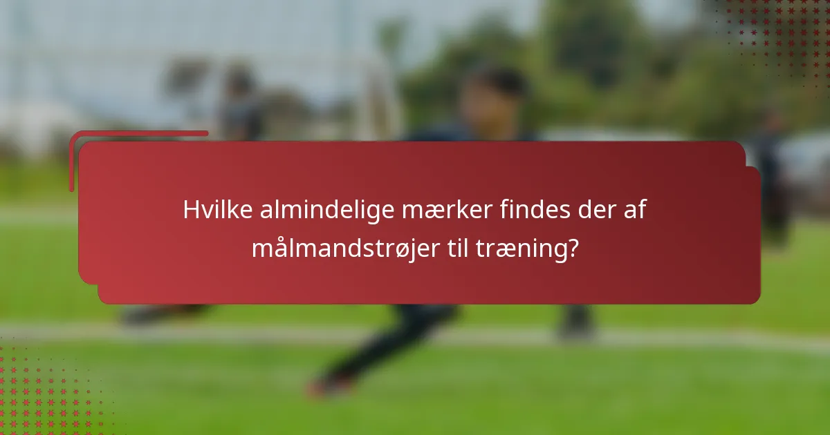Hvilke almindelige mærker findes der af målmandstrøjer til træning?