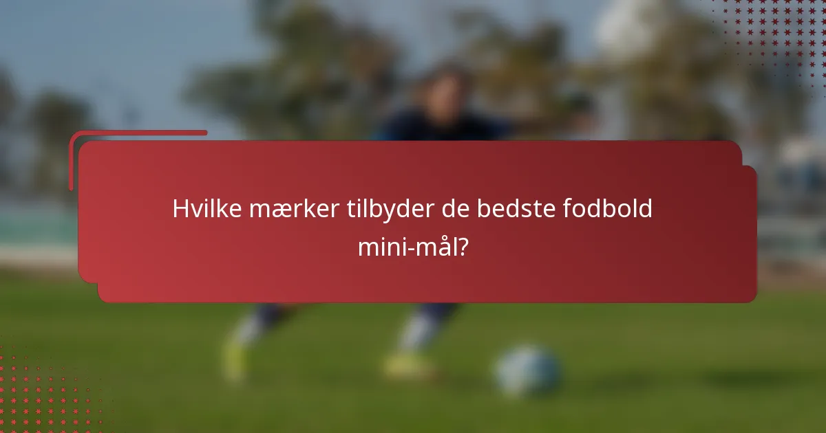 Hvilke mærker tilbyder de bedste fodbold mini-mål?