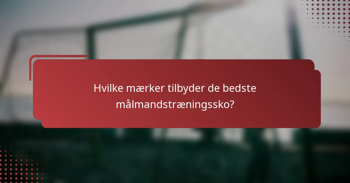 Hvilke mærker tilbyder de bedste målmandstræningssko?
