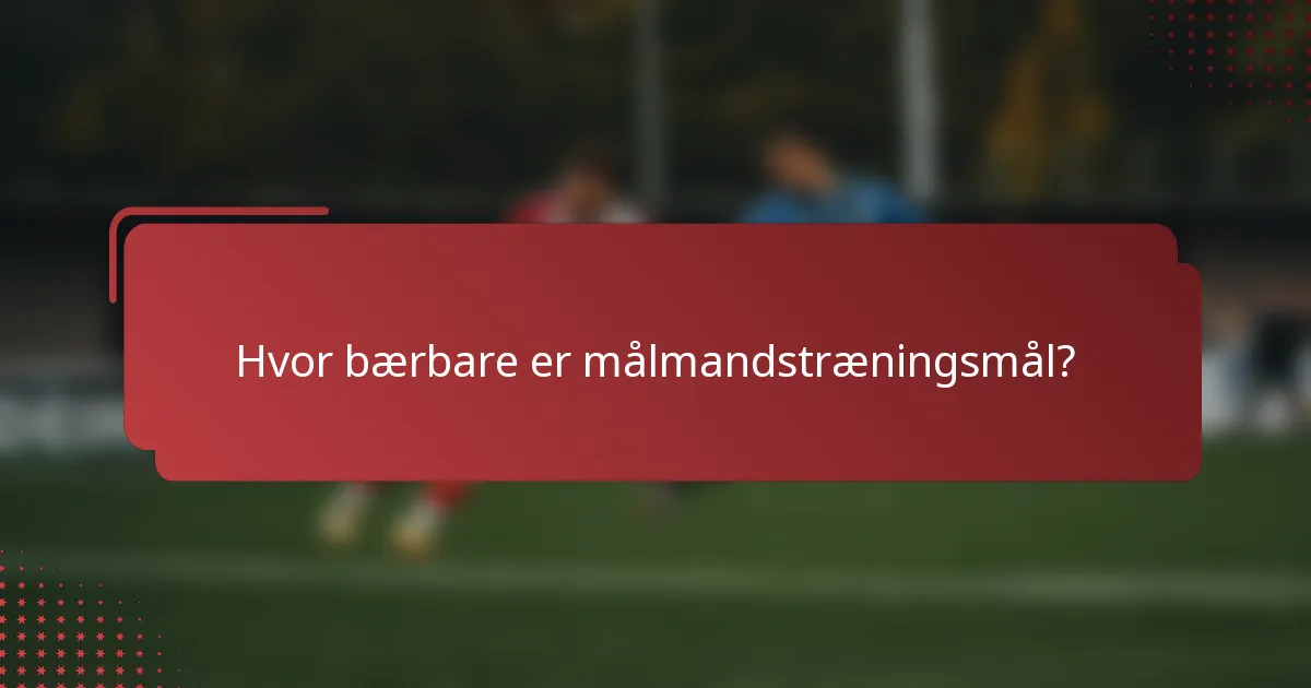 Hvor bærbare er målmandstræningsmål?